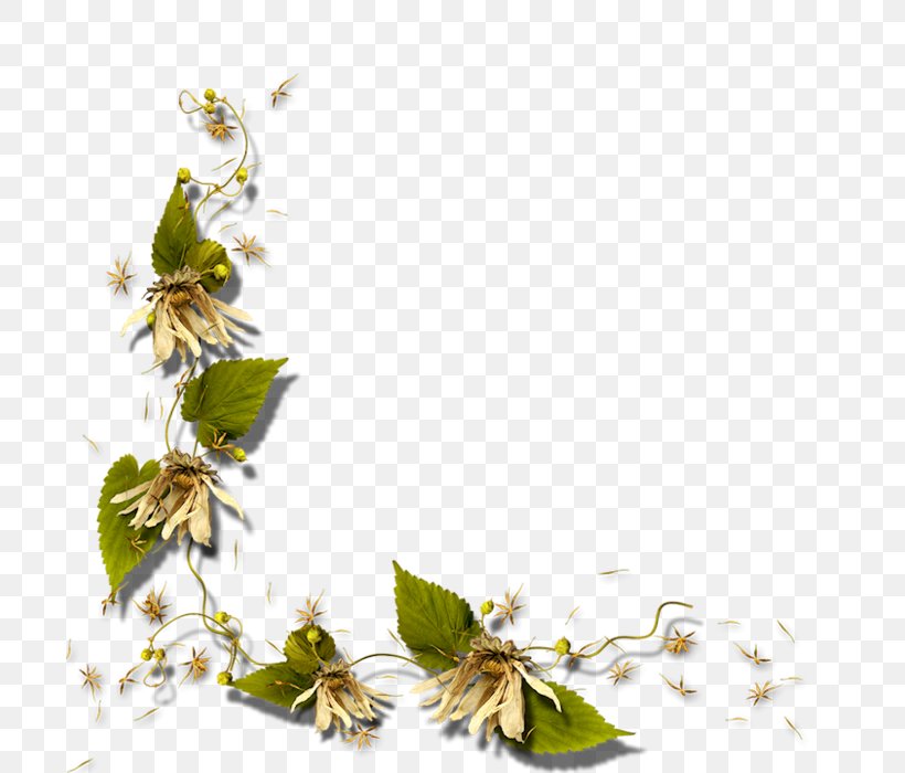 Template Clip Art, PNG, 700x700px, Template, Blog, Blossom, Branch, Digital Image Download Free