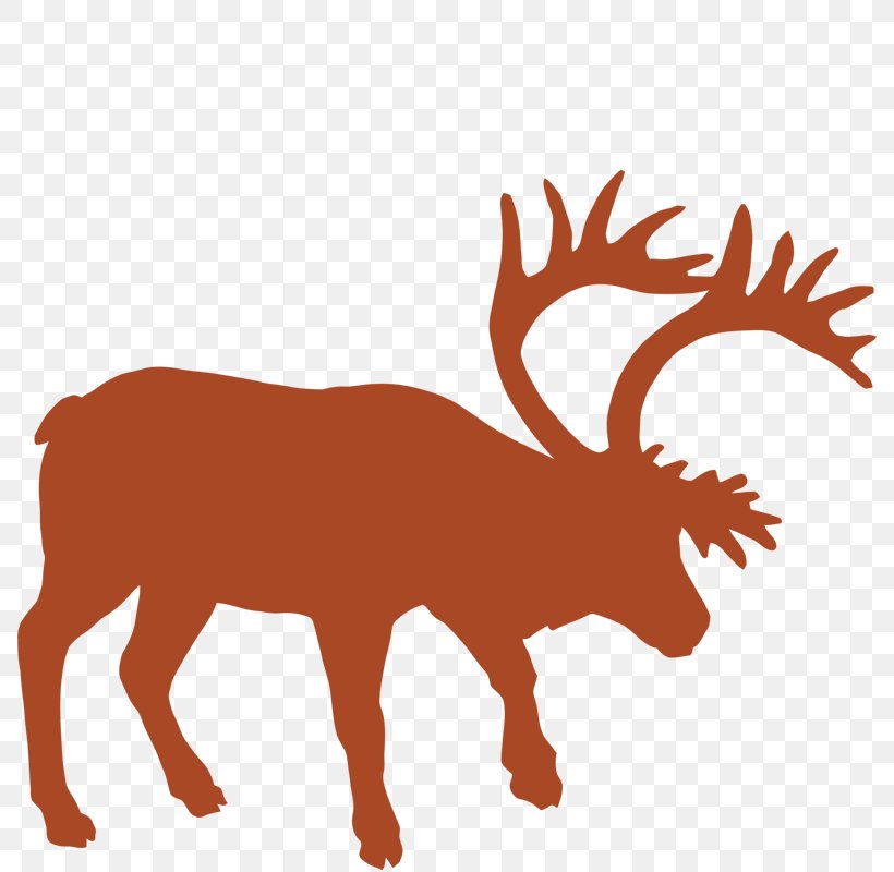 Animal Track Vector Graphics Muskox Reindeer, PNG, 800x800px, Animal Track, Animal, Antelope, Antler, Deer Download Free