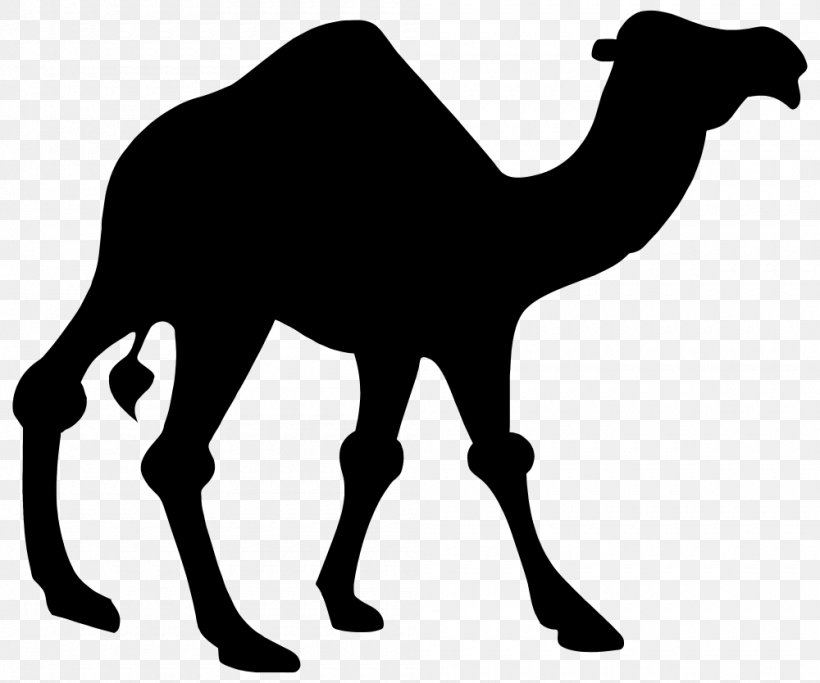Camel Camel, PNG, 1000x834px, Camel, Animal Figure, Arabian Camel, Blackandwhite, Camelid Download Free