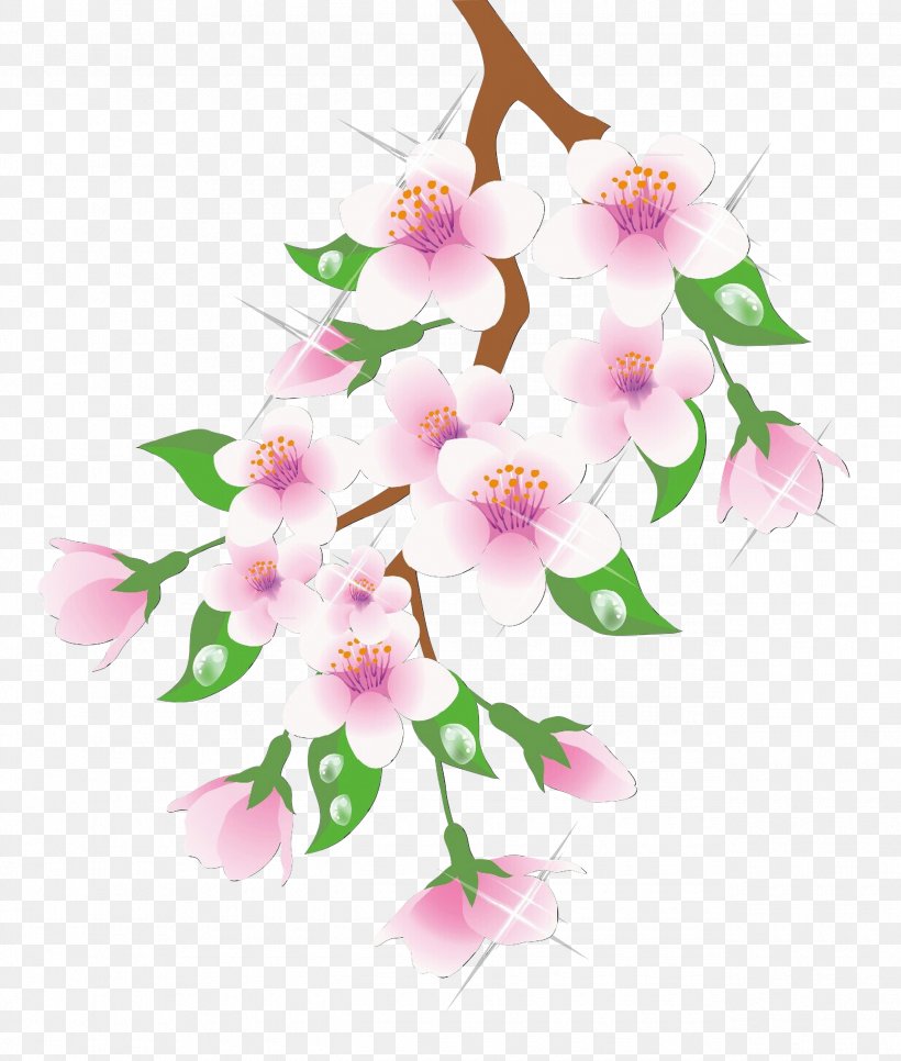 Cherry Blossom Cartoon, PNG, 2545x3000px, Spring, Blossom, Branch, Cattleya, Cherry Blossom Download Free