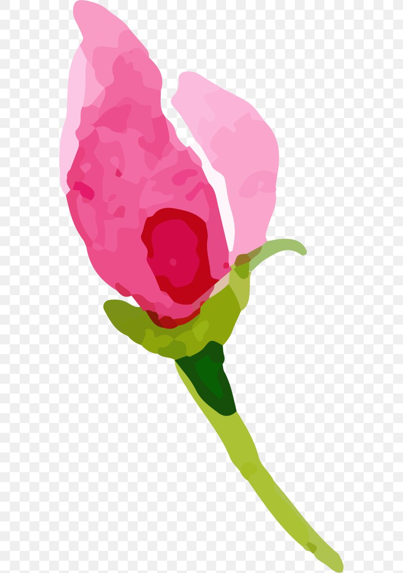 Garden Roses Cabbage Rose Flower Clip Art, PNG, 579x1165px, Garden Roses, Cabbage Rose, Flora, Floral Design, Flower Download Free