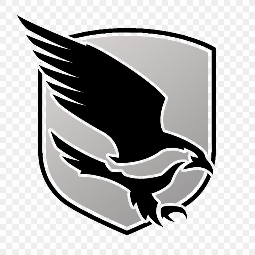 Logo Common Nighthawk Beak, PNG, 1000x1000px, Logo, Beak, Bird, Bird Of Prey, Black Download Free