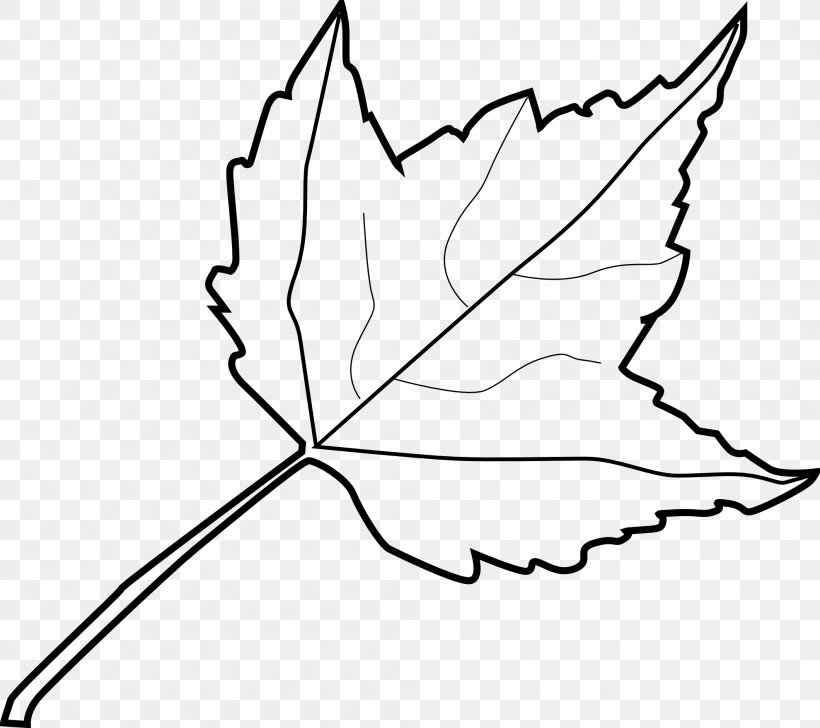 Maple Leaf Drawing Clip Art, PNG, 1979x1759px, Maple Leaf, Area, Artwork, Autumn, Autumn Leaf Color Download Free