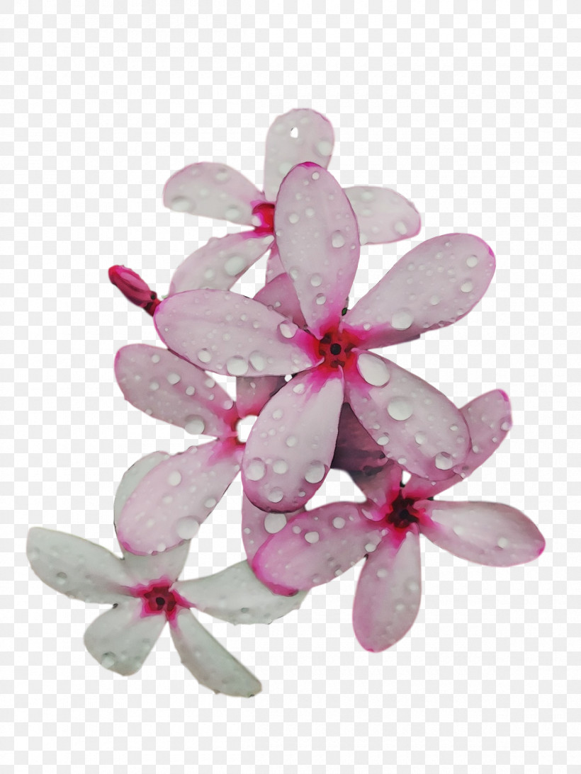 Petal Lilac M Flower, PNG, 1200x1600px, Watercolor, Flower, Lilac M, Paint, Petal Download Free