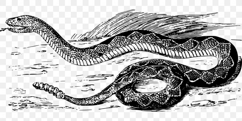 Rattlesnake Vipers Boas Clip Art, PNG, 1280x640px, Rattlesnake, Black And White, Boas, Drawing, Extinction Download Free