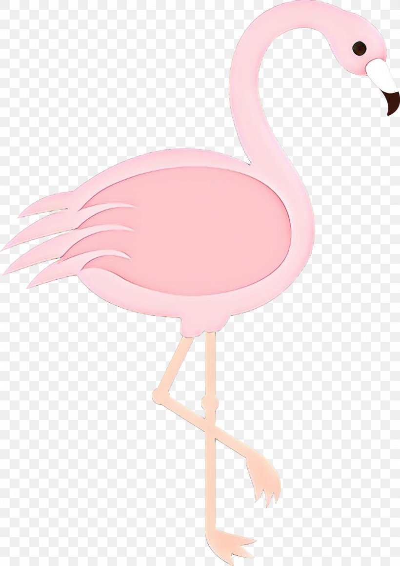 Product Design Pink M Beak Neck, PNG, 2121x2999px, Pink M, Beak, Bird, Feather, Flamingo Download Free