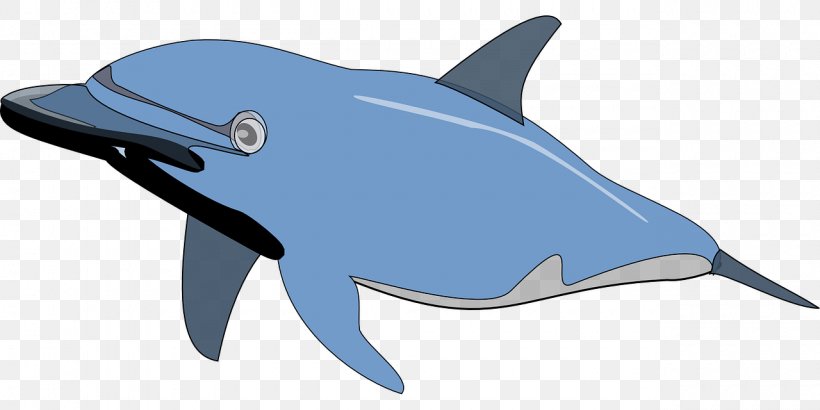 Spinner Dolphin Bottlenose Dolphin Clip Art, PNG, 1280x640px, Spinner Dolphin, Bottlenose Dolphin, Common Bottlenose Dolphin, Dolphin, Drawing Download Free