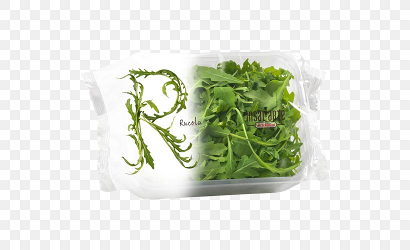 Arugula Salad Vegetable Fruit Spinach, PNG, 500x500px, Arugula, Butterhead Lettuce, Dieline, Food, Fruit Download Free