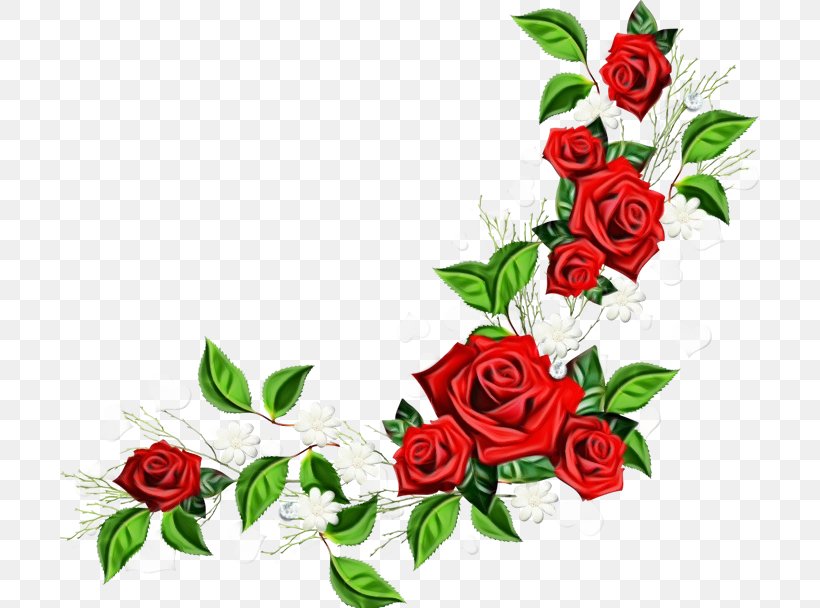 Garden Roses, PNG, 700x608px, Watercolor, Bouquet, Cut Flowers, Flower, Flowering Plant Download Free