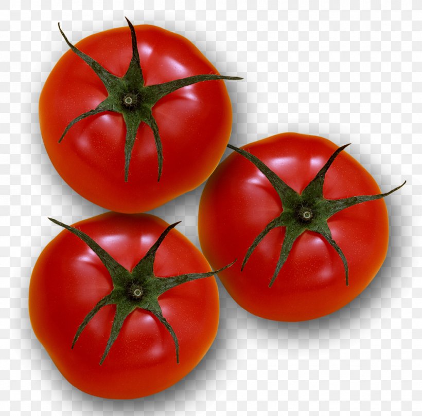 Plum Tomato Bush Tomato, PNG, 990x979px, Plum Tomato, Bush Tomato, Designer, Diet, Diet Food Download Free