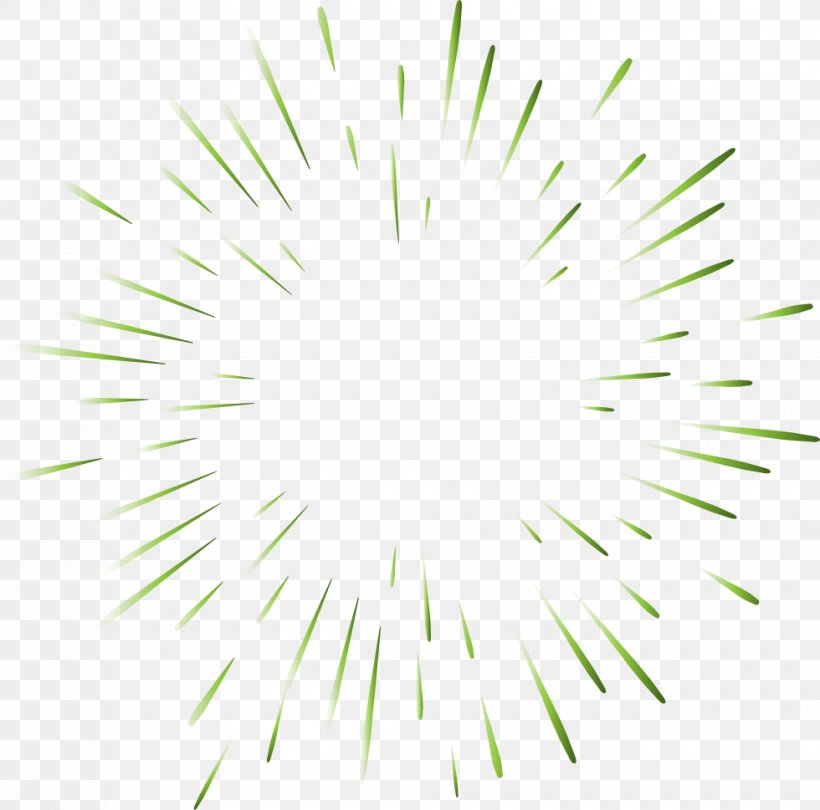 Symmetry Circle Point Pattern, PNG, 980x969px, Symmetry, Flower, Grass, Green, Point Download Free