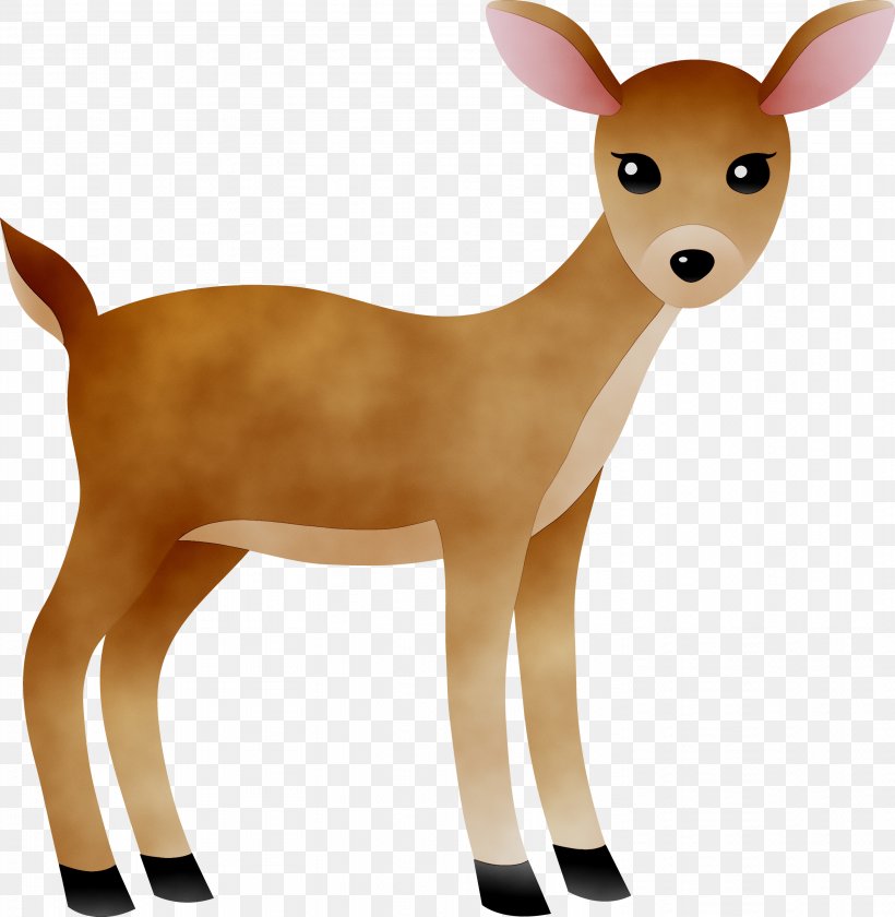White-tailed Deer Reindeer Antelope Fur, PNG, 2928x3000px, Whitetailed Deer, Animal Figure, Antelope, Deer, Ear Download Free
