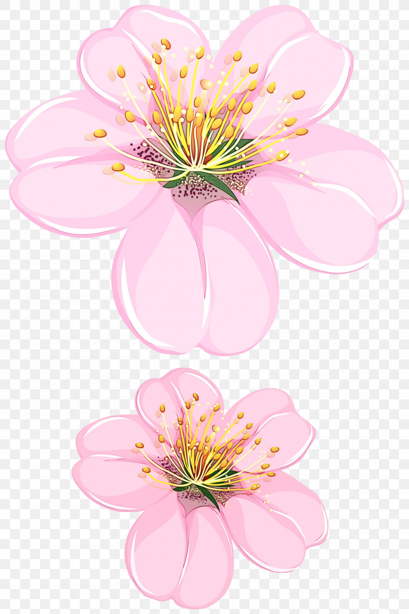 Floral Design, PNG, 1999x3000px, Watercolor, Biology, Cherry Blossom, Cut Flowers, Floral Design Download Free