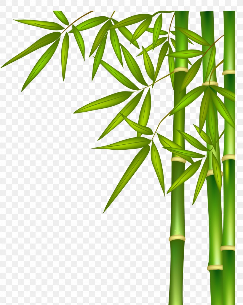 Green Bamboo, PNG, 2053x2572px, Bamboo, Advertising, Bamboo Painting, Energy, Fundal Download Free