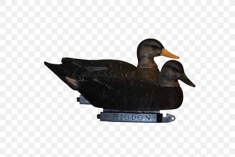 Mallard Duck Decoy Super Magnum Goose, PNG, 550x550px, Mallard, American Black Duck, Beak, Bird, Cartuccia Magnum Download Free