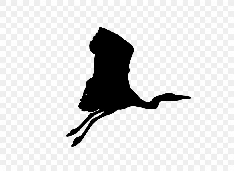 Crane Bird Silhouette, PNG, 1280x937px, Crane, Beak, Bird, Black, Black And White Download Free