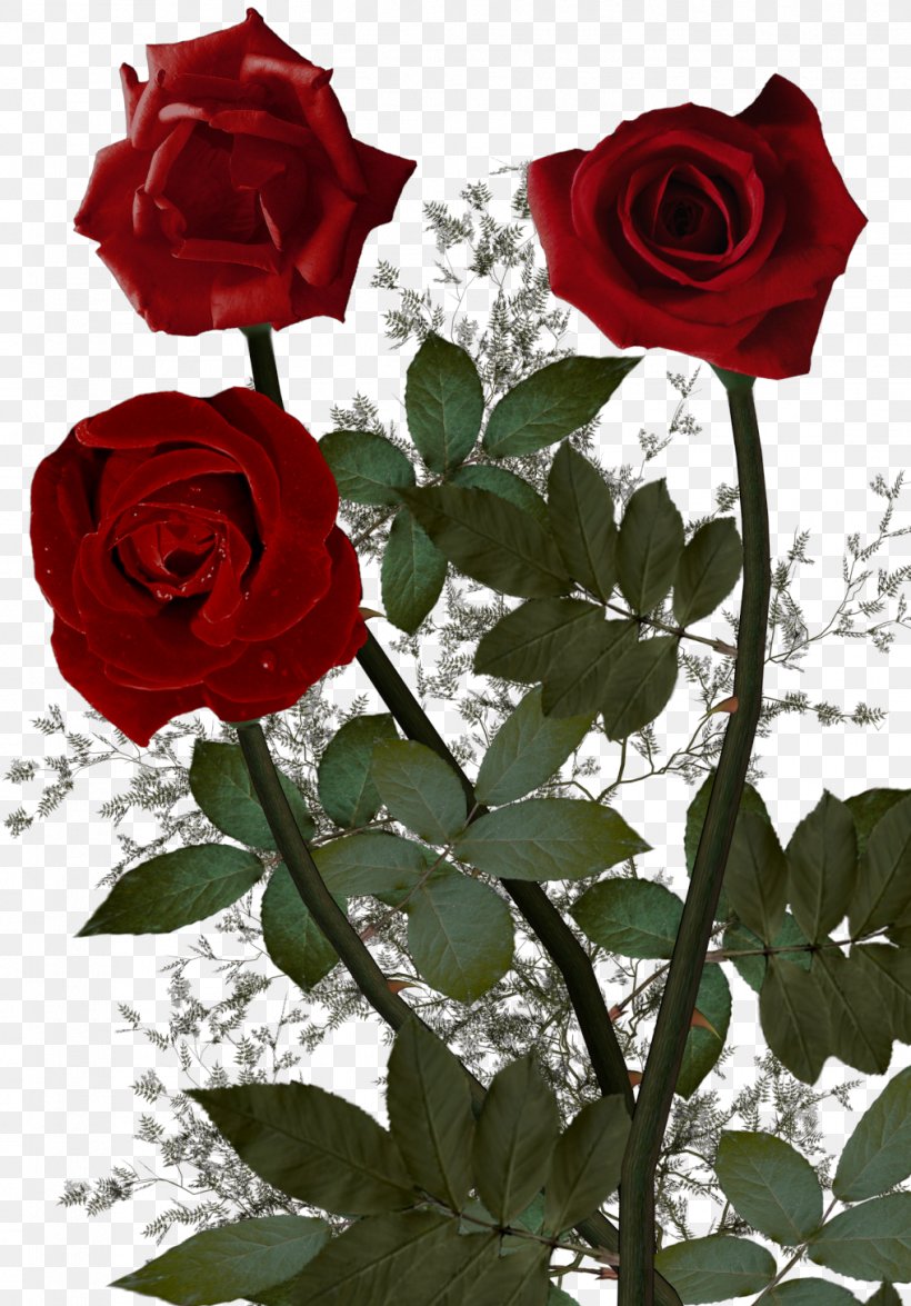 Cut Flowers Garden Roses Clip Art, PNG, 1017x1458px, Flower, Animation, Centifolia Roses, Cut Flowers, Floral Design Download Free