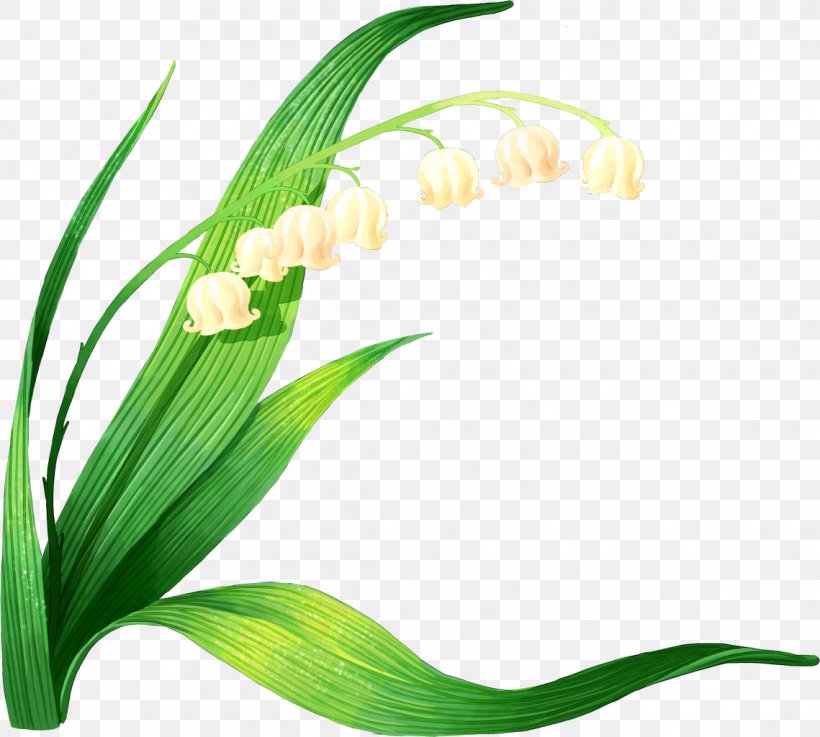 Lily Of The Valley, PNG, 1139x1024px, Lily Of The Valley, Commodity, Flora, Flower, Grass Download Free