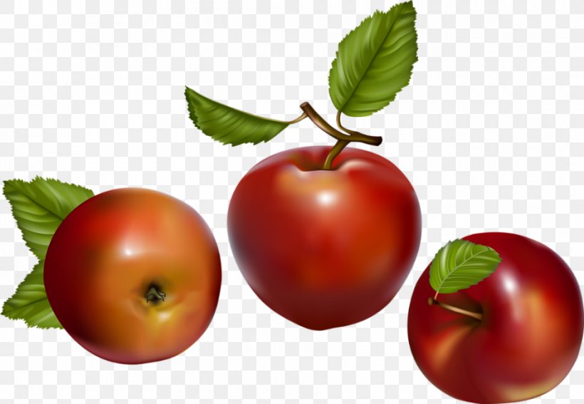 Tomato Apple Fruit Berry, PNG, 940x650px, Tomato, Acerola, Acerola Family, Apple, Berry Download Free