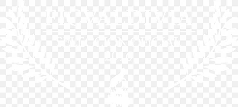 White House WTTW White Ribbon Donald Trump, PNG, 1019x460px, White House, Betty White, Donald Trump, Rectangle, United States Download Free