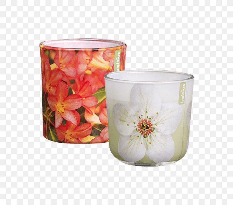 Candle Bolsius Group Hellweg Price, PNG, 720x720px, Candle, Beslistnl, Bolsius Group, Flower, Flowerpot Download Free