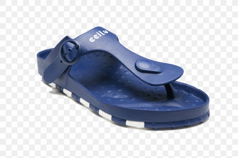 Footwear Shoe Sandal Slide, PNG, 1545x1030px, Footwear, Blue, Electric Blue, Fashion, Foot Download Free