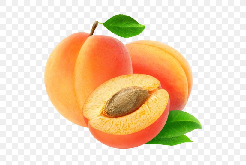 Clip Art Transparency Image Apricot, PNG, 640x553px, Apricot, Apricot Kernel, Apricot Oil, Drupe, European Plum Download Free
