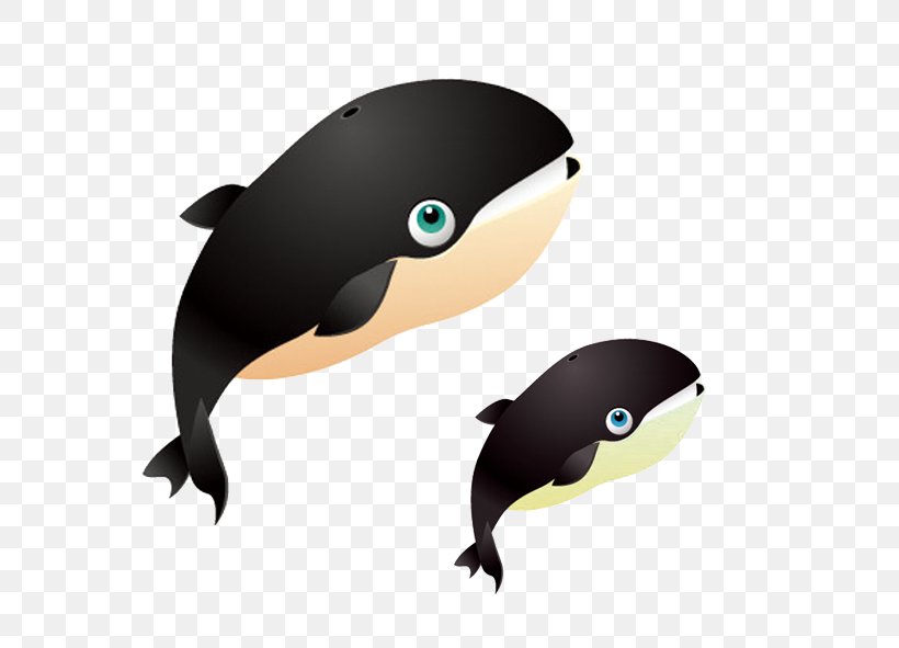 Shark Right Whales Euclidean Vector, PNG, 591x591px, Whale, Animal, Beak, Bird, Blue Whale Download Free