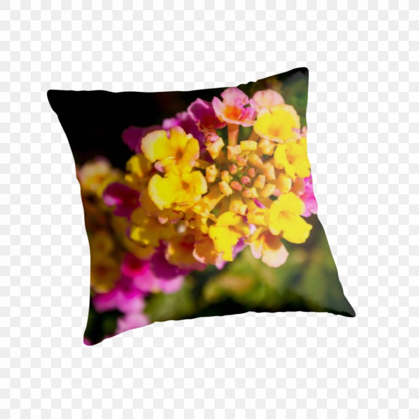 Throw Pillows Cushion Violet Family, PNG, 875x875px, Throw Pillows, Cushion, Family, Flower, Flowering Plant Download Free