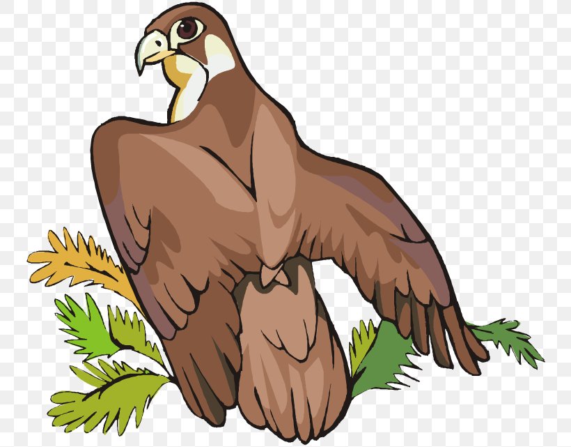 free bird of prey clipart