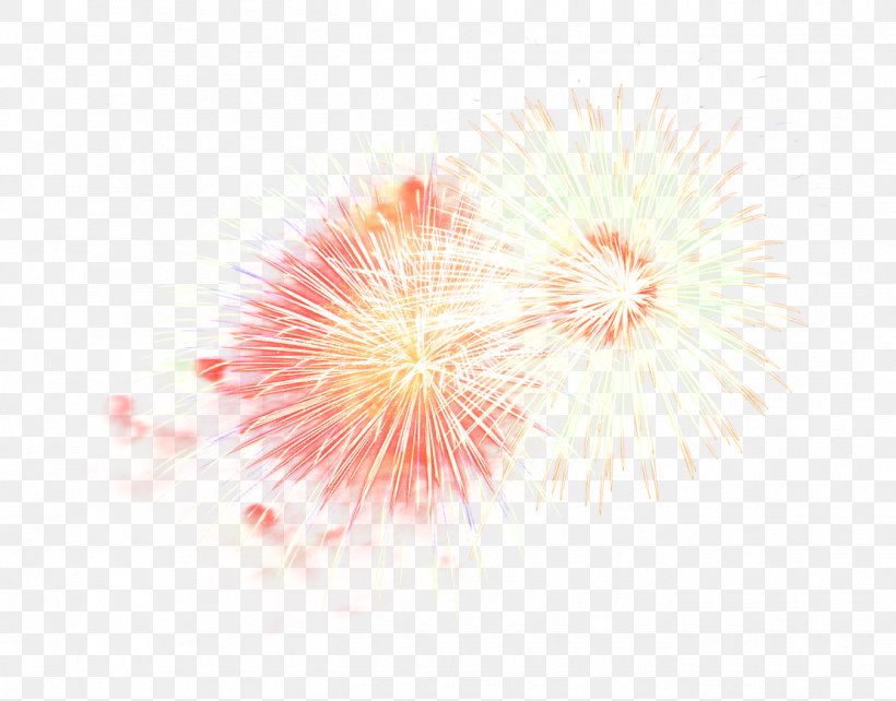 Fireworks Pink Plant Flower Event, PNG, 1350x1058px, Fireworks, Event, Flower, Holiday, Pink Download Free