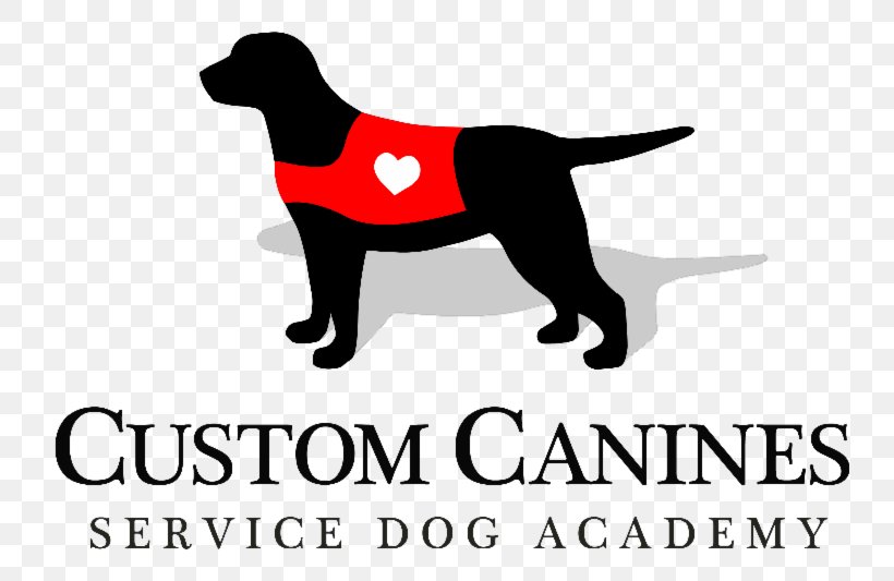Labrador Retriever Puppy Dog Breed Golden Retriever Custom Canines Service Dog Academy, PNG, 800x533px, Labrador Retriever, Animal, Brand, Breed, Carnivoran Download Free