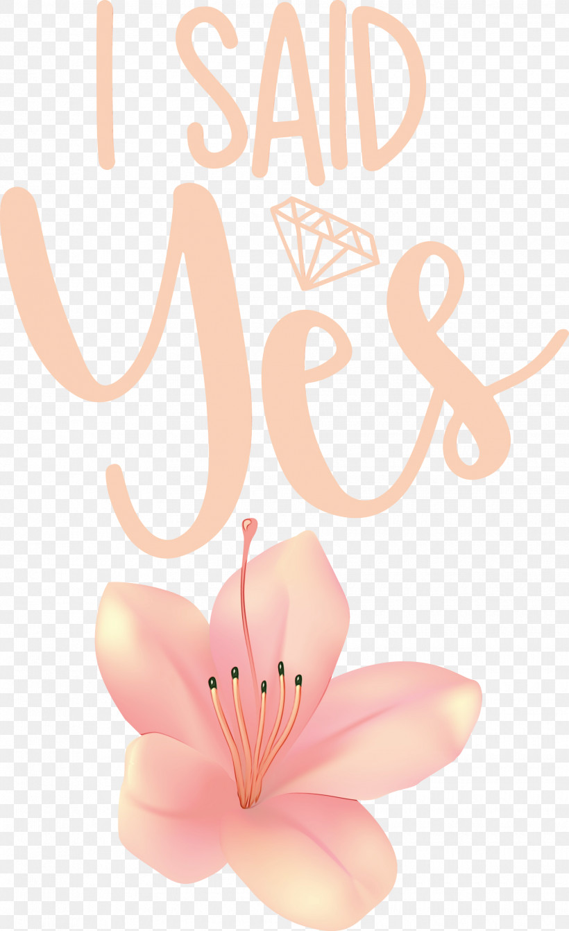 Petal Flower Line Font Meter, PNG, 1830x2999px, I Said Yes, Flower, Geometry, Line, Mathematics Download Free