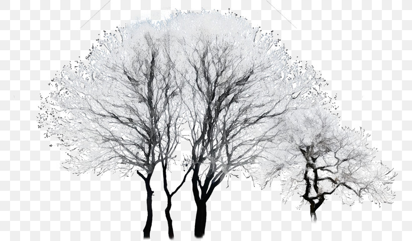 Twig Drawing /m/02csf Winter, PNG, 765x480px, Watercolor, Drawing, M02csf, Paint, Twig Download Free
