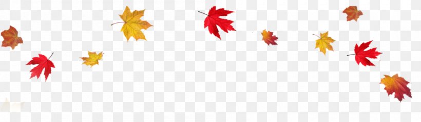 Autumn Leaf Color Desktop Wallpaper Clip Art, PNG, 1000x292px, Autumn Leaf Color, Autumn, Computer, Equinox, Flowering Plant Download Free
