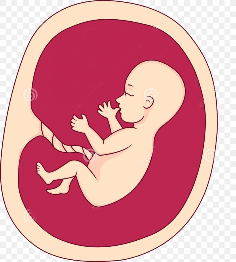 Fetus Uterus Pregnancy Clip Art, PNG, 1172x1300px, Watercolor, Cartoon, Flower, Frame, Heart Download Free