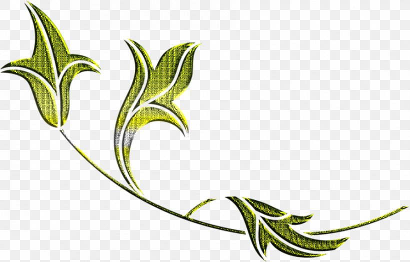 Grasses Plant Stem Psalm 139 Leaf Clip Art, PNG, 893x571px, Grasses, Artwork, Family, Flora, Flower Download Free