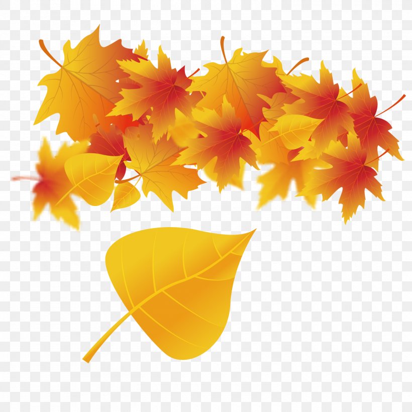 Maple Leaf Autumn Poster, PNG, 1500x1500px, Leaf, Autumn, Flower, Flowering Plant, Maple Leaf Download Free