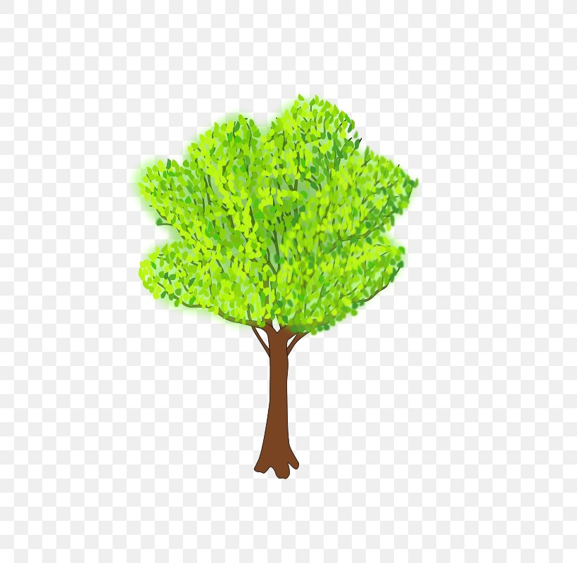 Clip Art Openclipart Tree Image Free Content, PNG, 566x800px, Tree, Branch, Cartoon, Computer, Dogwood Download Free