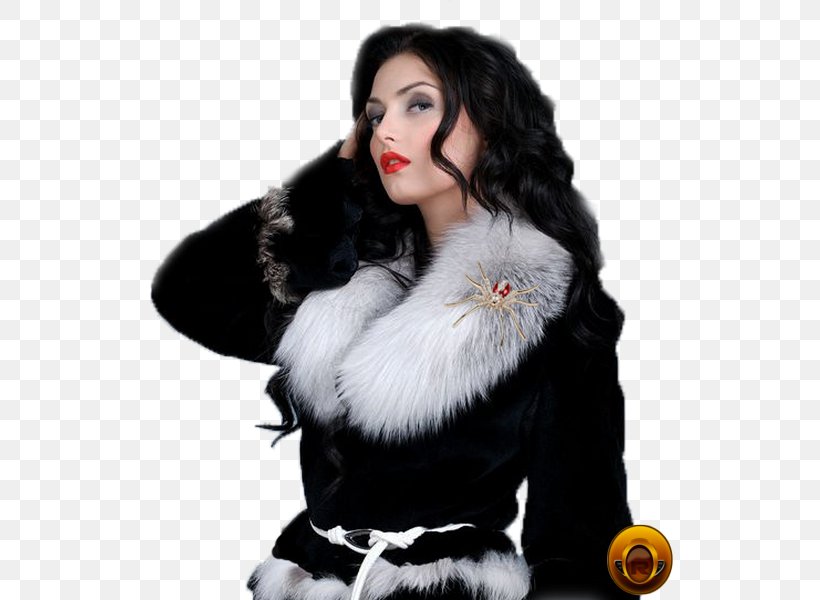 Fur Image GIF Female Woman, PNG, 540x600px, Fur, Blog, Female, Fur Clothing, Material Download Free