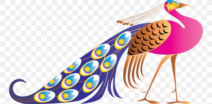Pavo Feather Bird Clip Art, PNG, 750x404px, Pavo, Art, Artwork, Asiatic Peafowl, Beak Download Free