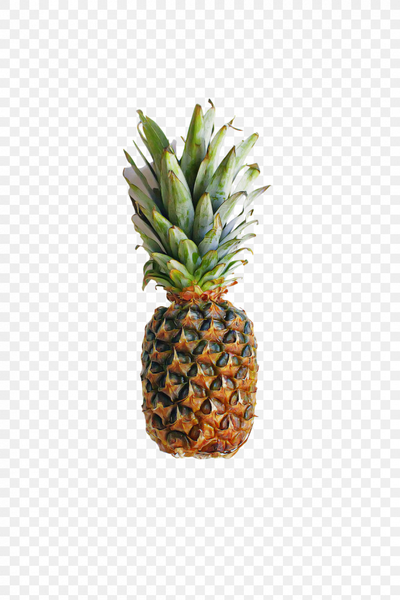 Pineapple, PNG, 1200x1800px, Pineapple, Biology, Flowerpot, Fruit, Hay Flowerpot With Saucer Download Free