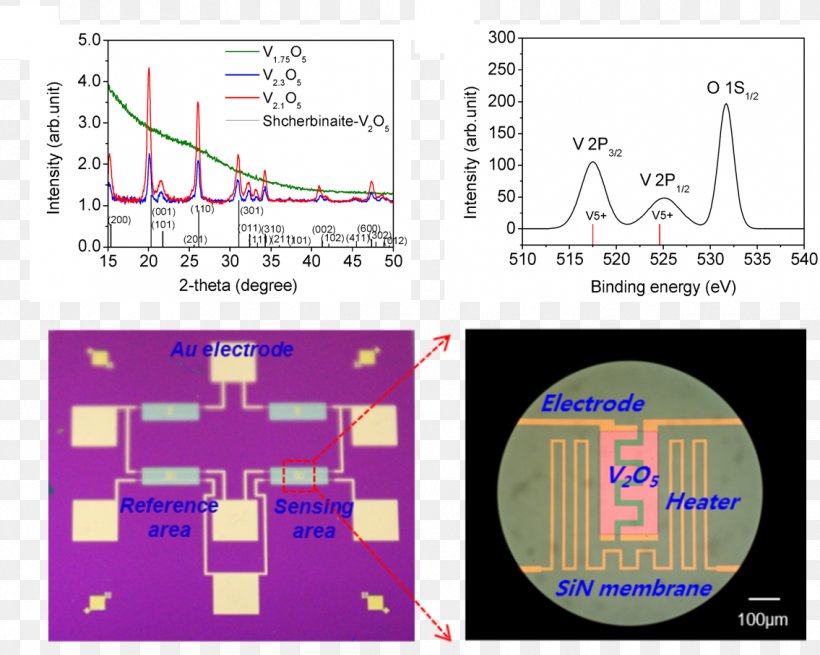 Small Molecule DNA And RNA Binders: From Synthesis To Nucleic Acid Complexes Calorimeter Heckler & Koch P11 Technology Differential Scanning Calorimetry, PNG, 1135x907px, Calorimeter, Area, Diagram, Differential Scanning Calorimetry, Heckler Koch P11 Download Free