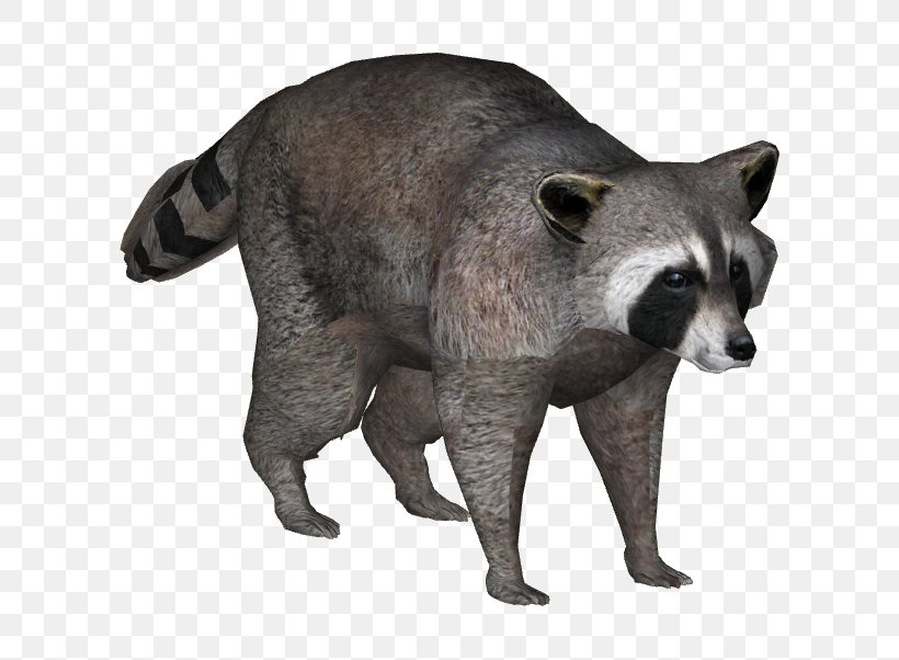 Viverrids Raccoon Fur Procyon Terrestrial Animal, PNG, 602x602px, Viverrids, Animal, Animal Figure, Carnivoran, Fauna Download Free