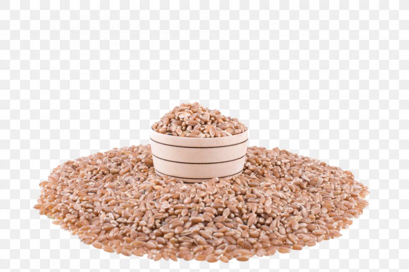 Wheat Cereal Seed Grain, PNG, 1000x667px, Wheat, Bread, Cereal, Commodity, Ear Download Free