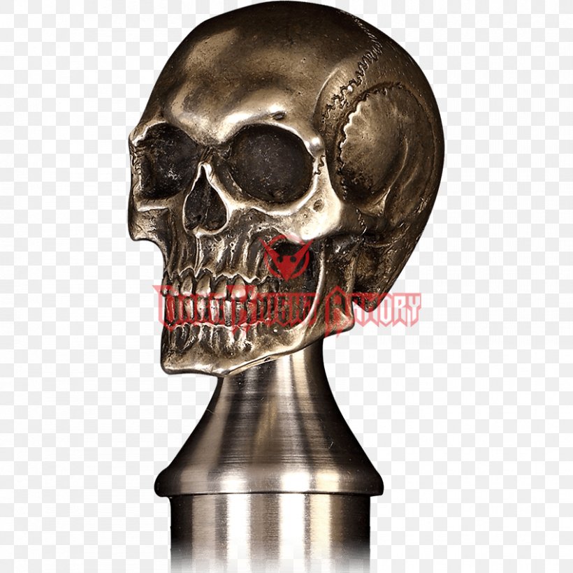 Human Skull Skeleton Bone Jaw, PNG, 850x850px, Skull, Anatomy, Bone, Gold, Head Download Free
