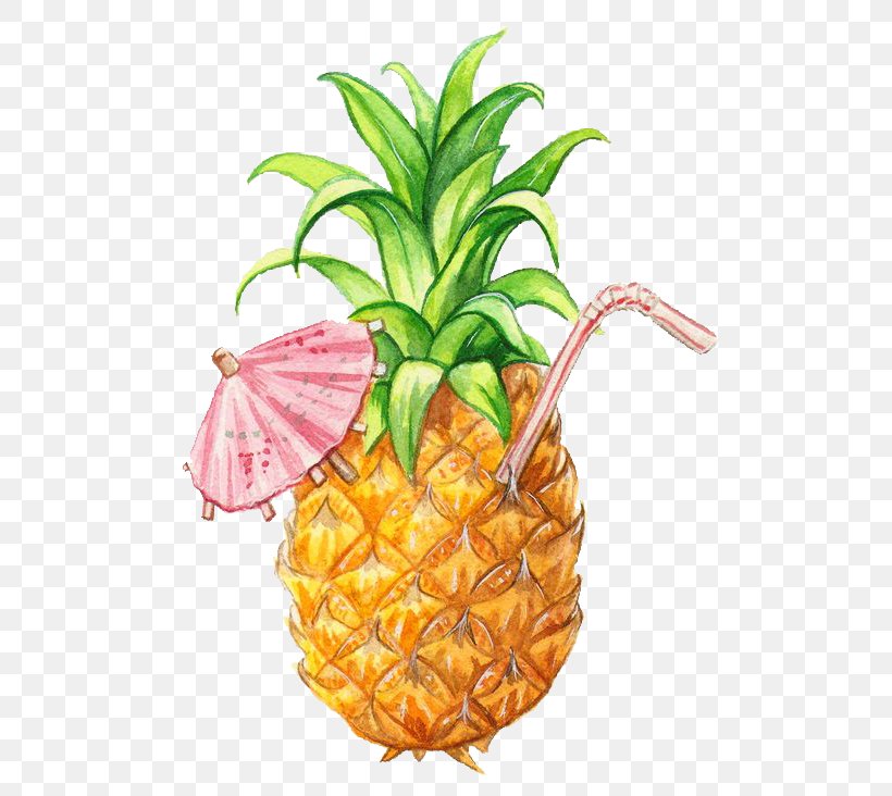 Juice Smoothie Pineapple Drawing Fruit, PNG, 550x732px, Juice, Ananas, Bromeliaceae, Cartoon, Drawing Download Free