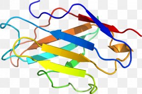 Line - Line Point Clip Art PNG