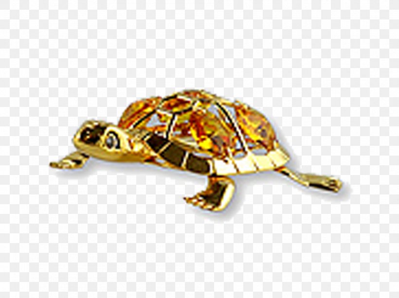 Turtle Tortoise, PNG, 1892x1416px, Turtle, Designer, Emydidae, Gift, Gold Download Free