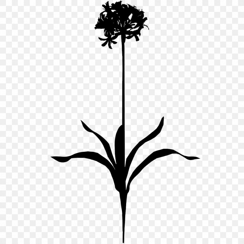Twig Flower Plant Stem Leaf Line, PNG, 1000x1000px, Twig, Blackandwhite, Botany, Flower, Flowering Plant Download Free